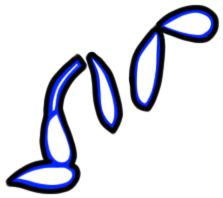Image of the occurrence